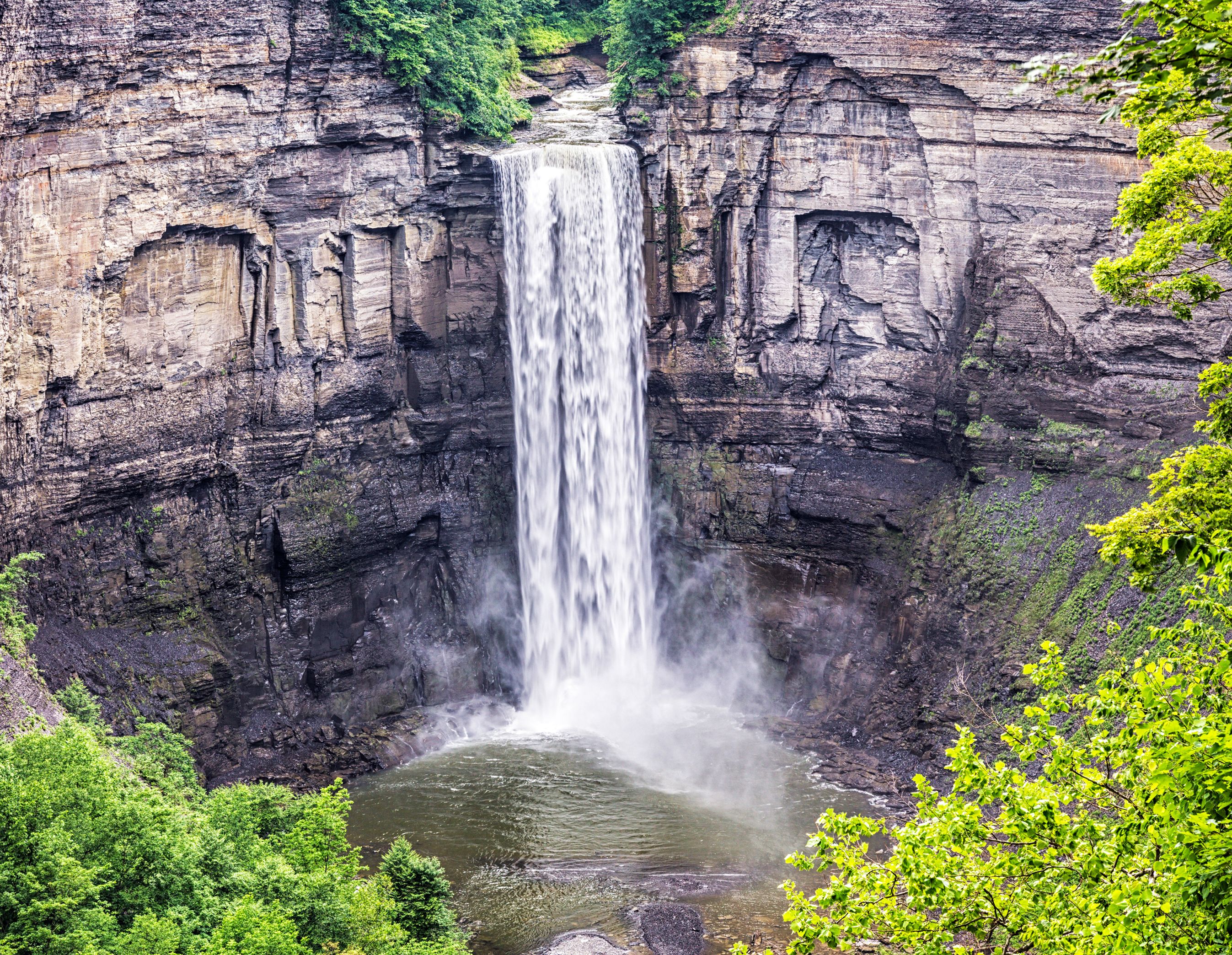Nature Walk - Taughannock Falls Guided Tour